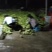 贵州惠水佛手瓜基地精品瓜种直销