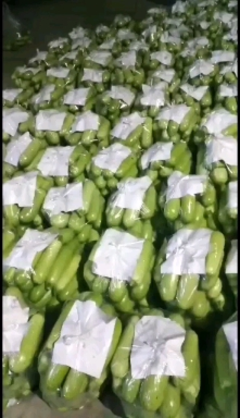 西葫芦工厂专用切瓜片大量供应加工厂！需要的联系大量有货！