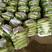 西葫芦工厂专用切瓜片大量供应加工厂！需要的联系大量有货！