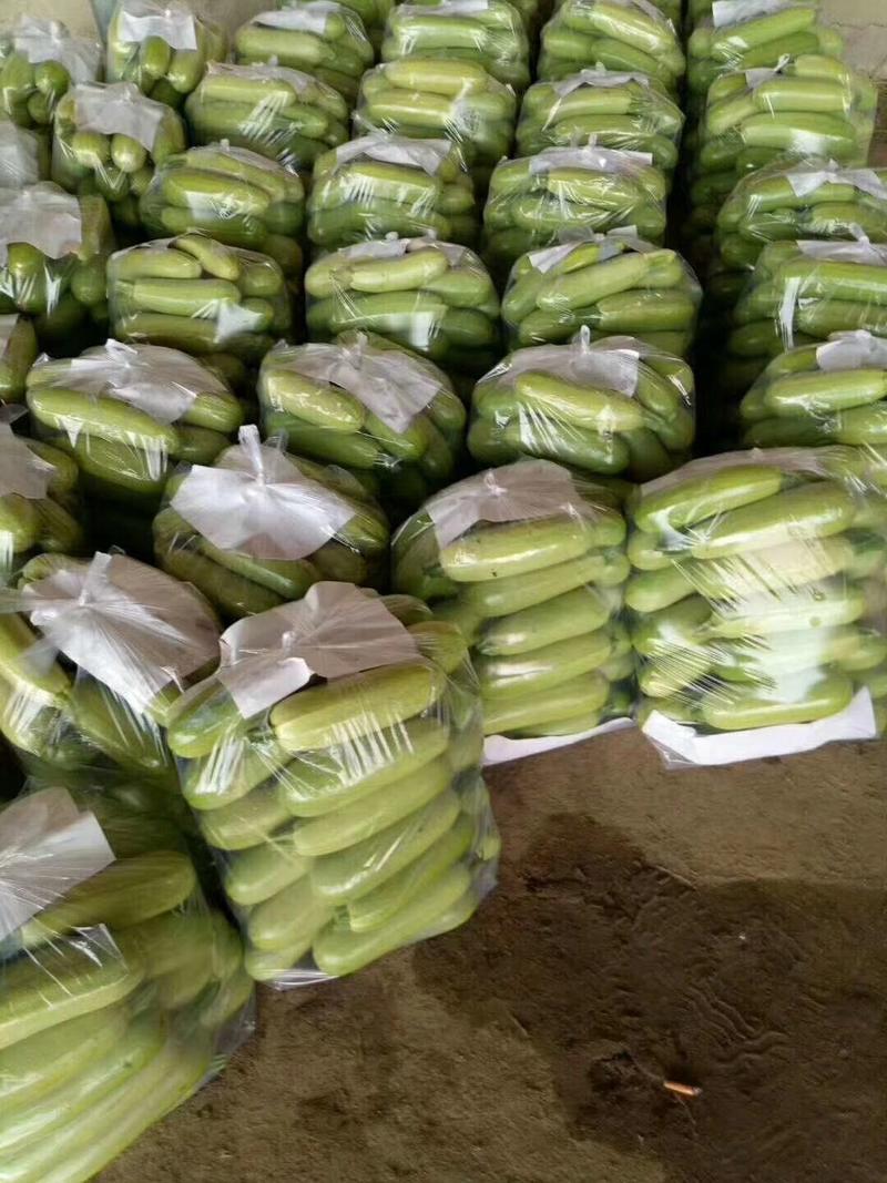 西葫芦工厂专用切瓜片大量供应加工厂！需要的联系大量有货！
