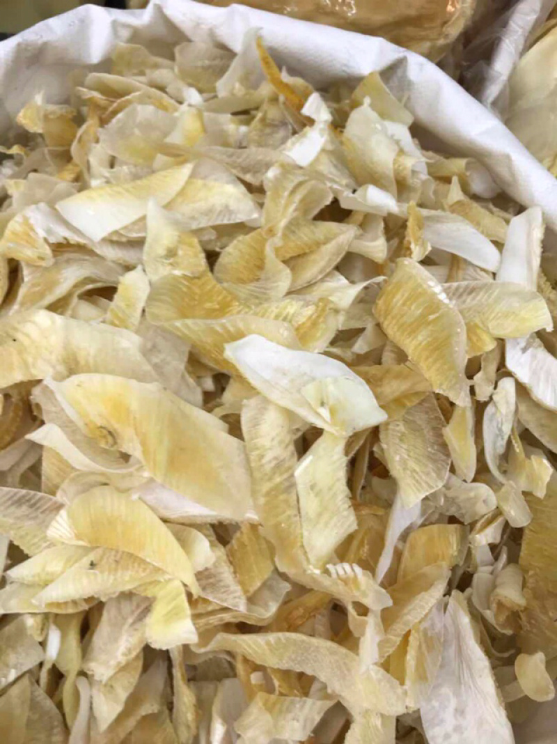 鱼翅牙拣翅边新鲜胶质好营养丰富价格实惠餐饮酒店月子好食材