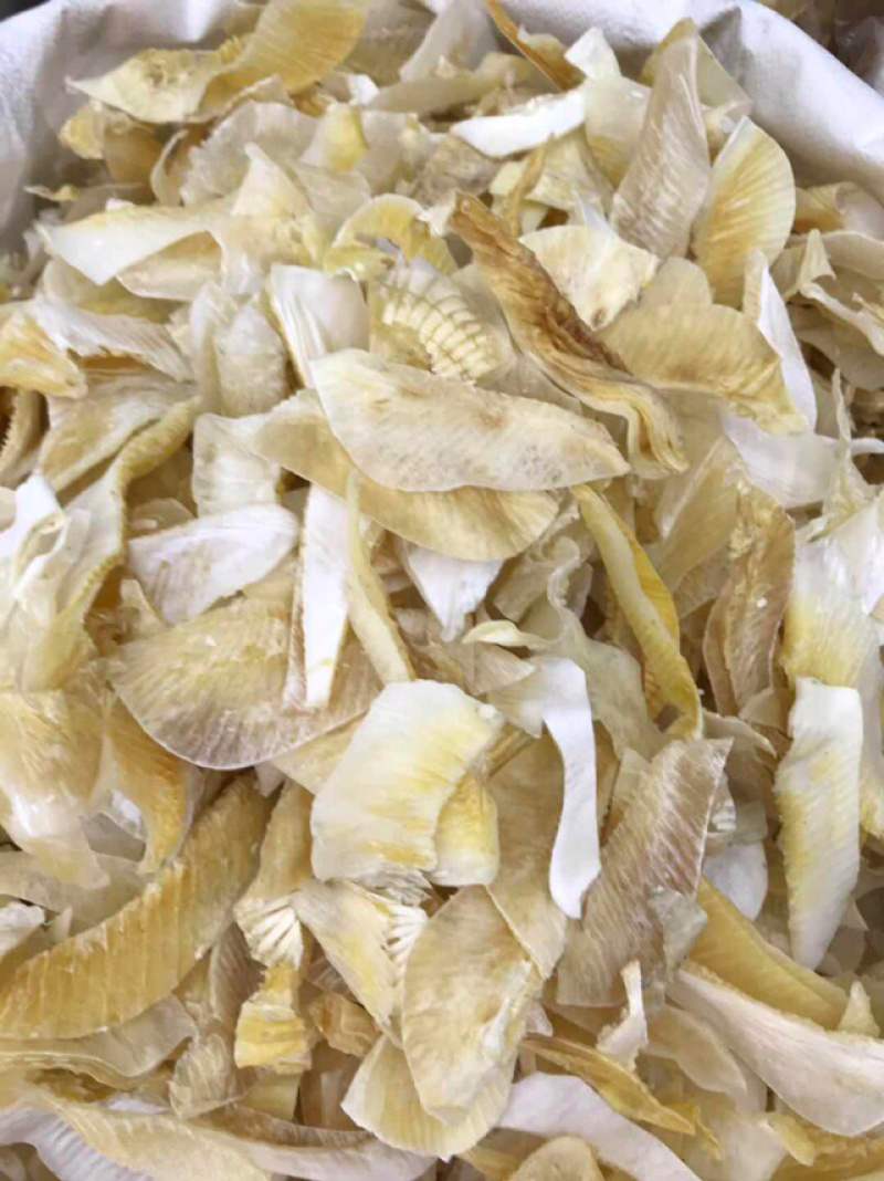 鱼翅牙拣翅边新鲜胶质好营养丰富价格实惠餐饮酒店月子好食材