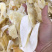 鱼翅牙拣翅边新鲜胶质好营养丰富价格实惠餐饮酒店月子好食材