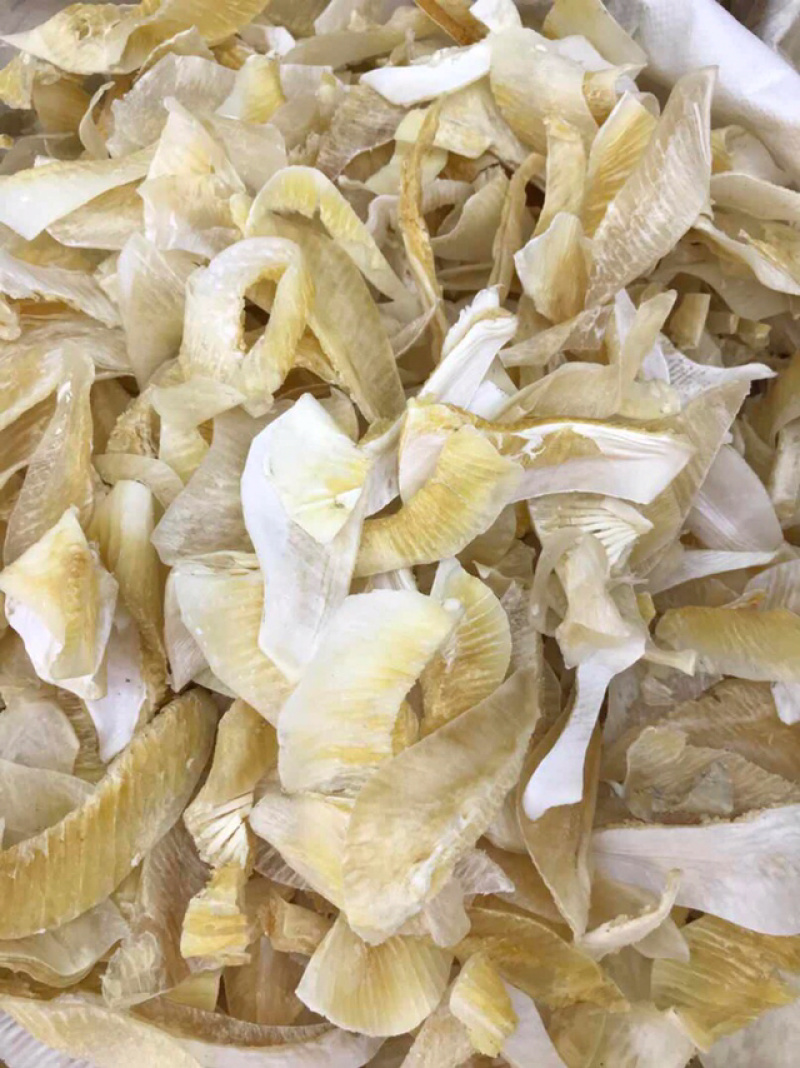鱼翅牙拣翅边新鲜胶质好营养丰富价格实惠餐饮酒店月子好食材