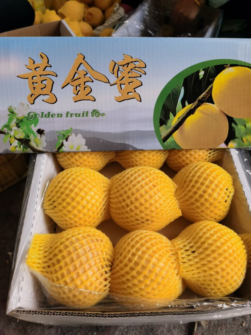 大连普兰店陆地黄油桃油八黄金蜜油桃个大皮毛亮甜甜的