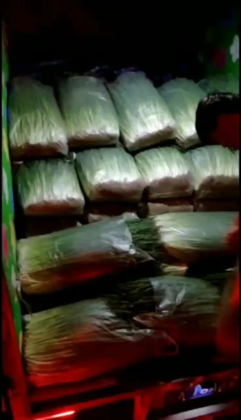 常年代理优质香葱！供货及时保质保量