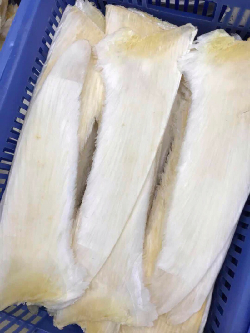 鱼翅牙拣鱼翅金勾鱼翅翅针口感韧性好新鲜味鲜美营养丰富