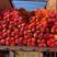 福建漳州平和红柚白柚，精品果，礼品盒，过节送礼佳品。
