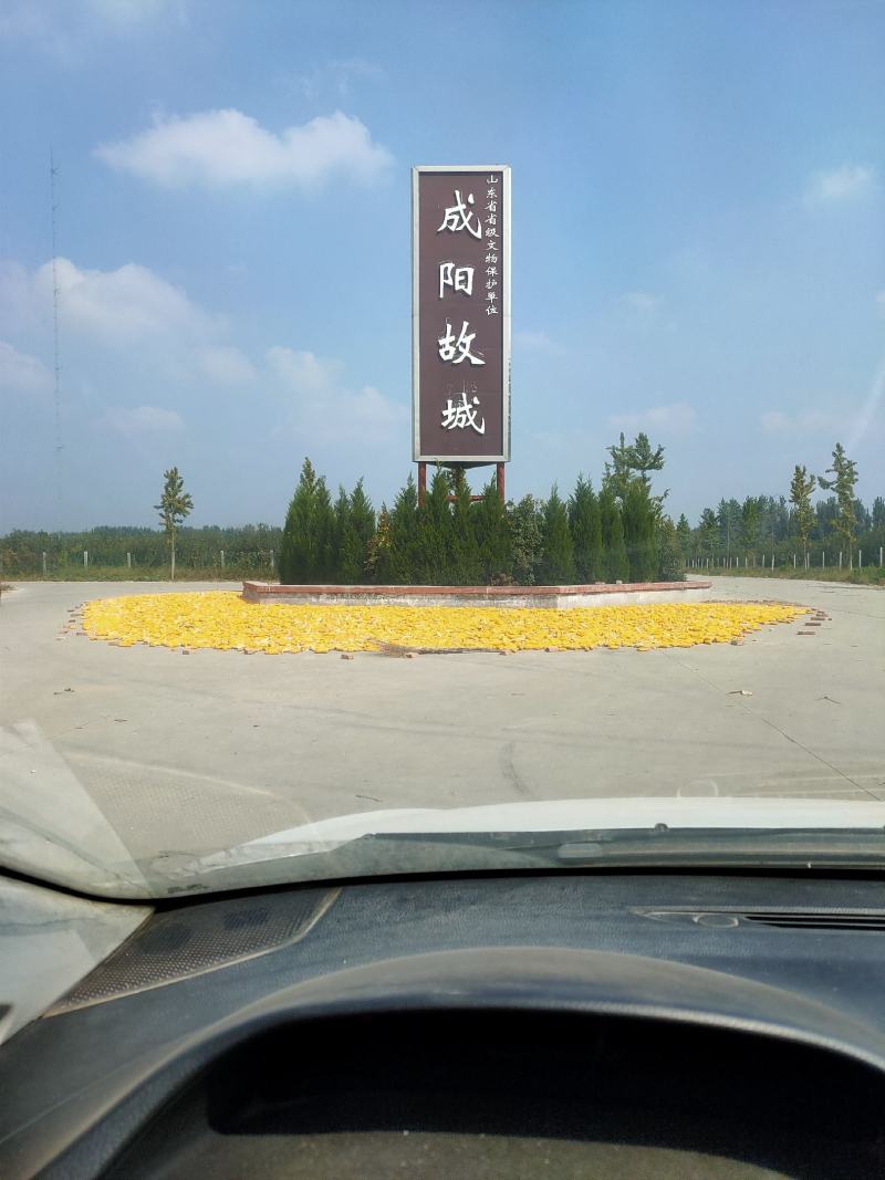 成阳牌石磨香油厂家直销可代理欢迎咨询