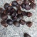 油茶籽山茶籽大别山特产油茶籽山茶籽河南信阳油茶籽