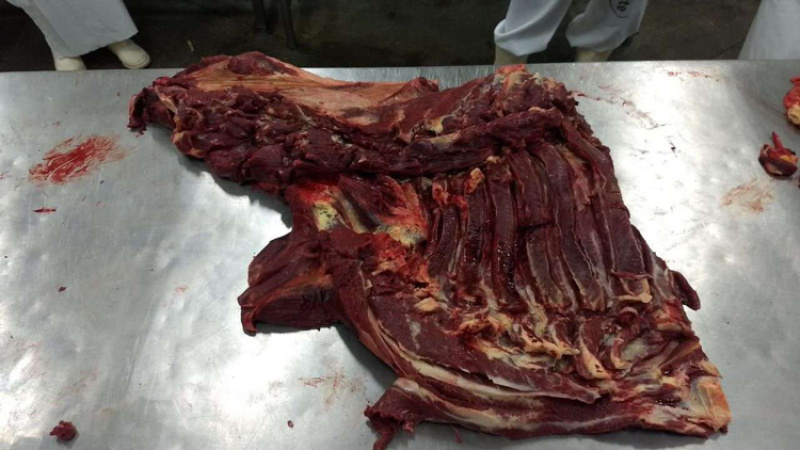驴肉，巴西，分割体，