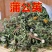 野生蒲公英全草整株天然晒干