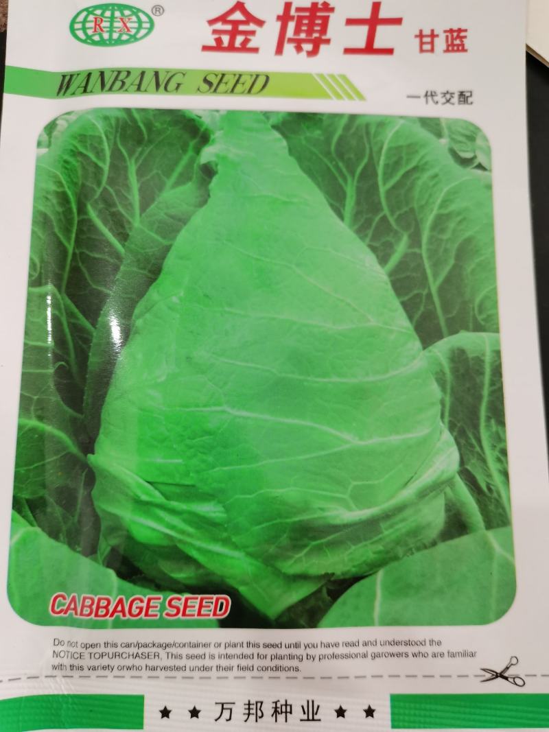 金博士甘蓝种籽颜色绿特别好看品质特好
