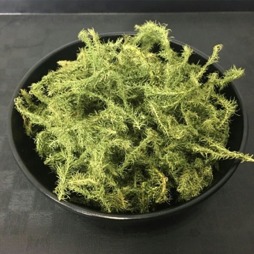 伸筋草中药材舒筋草野生石松狮子尾草包邮