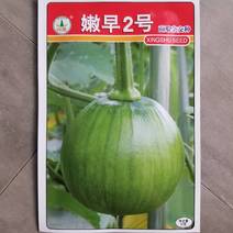 一代交配，湖南省蔬菜所兴蔬种业出品，嫩早2号南瓜种子。