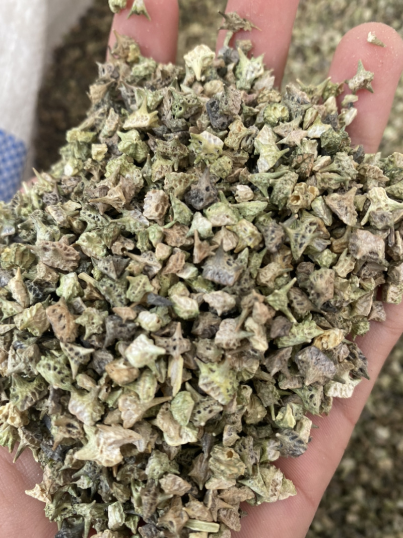 白蒺藜产地直销批发各种中药材量大从优