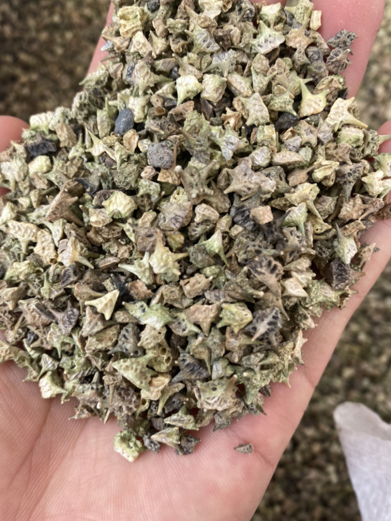 白蒺藜产地直销批发各种中药材量大从优