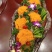 野生菌食用菌，金耳，各种鲜货，冻品，干货