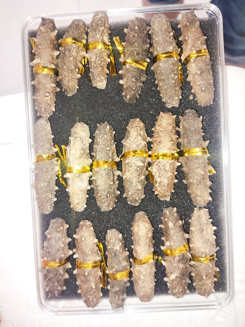 海参(即食干参)一手货源，欢迎各位老板详谈！参鲍礼盒组合