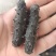 海参(即食干参)一手货源，欢迎各位老板详谈！参鲍礼盒组合