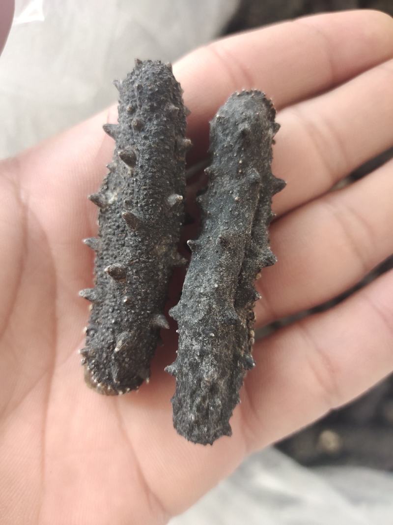 海参(即食干参)一手货源，欢迎各位老板详谈！参鲍礼盒组合