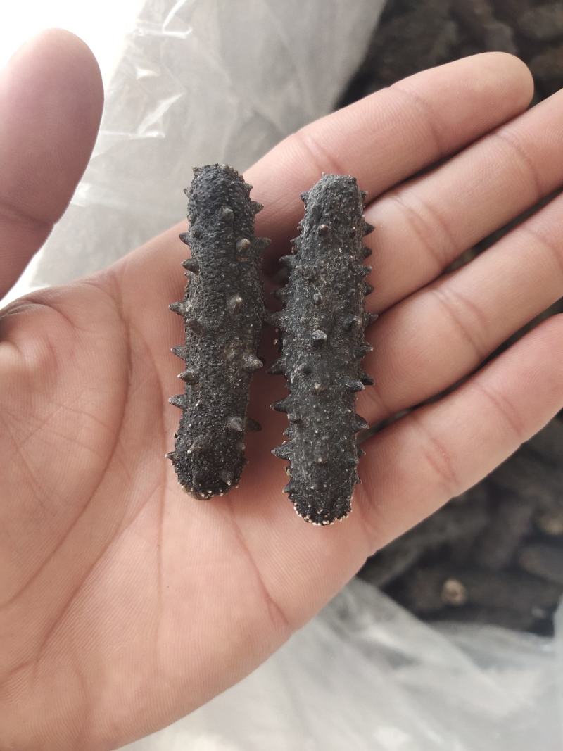 海参(即食干参)一手货源，欢迎各位老板详谈！参鲍礼盒组合