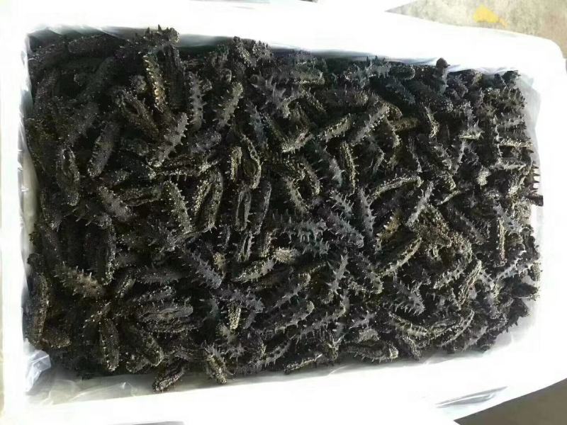 海参(即食干参)一手货源，欢迎各位老板详谈！参鲍礼盒组合