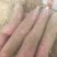 大量上市欢迎前来合作
