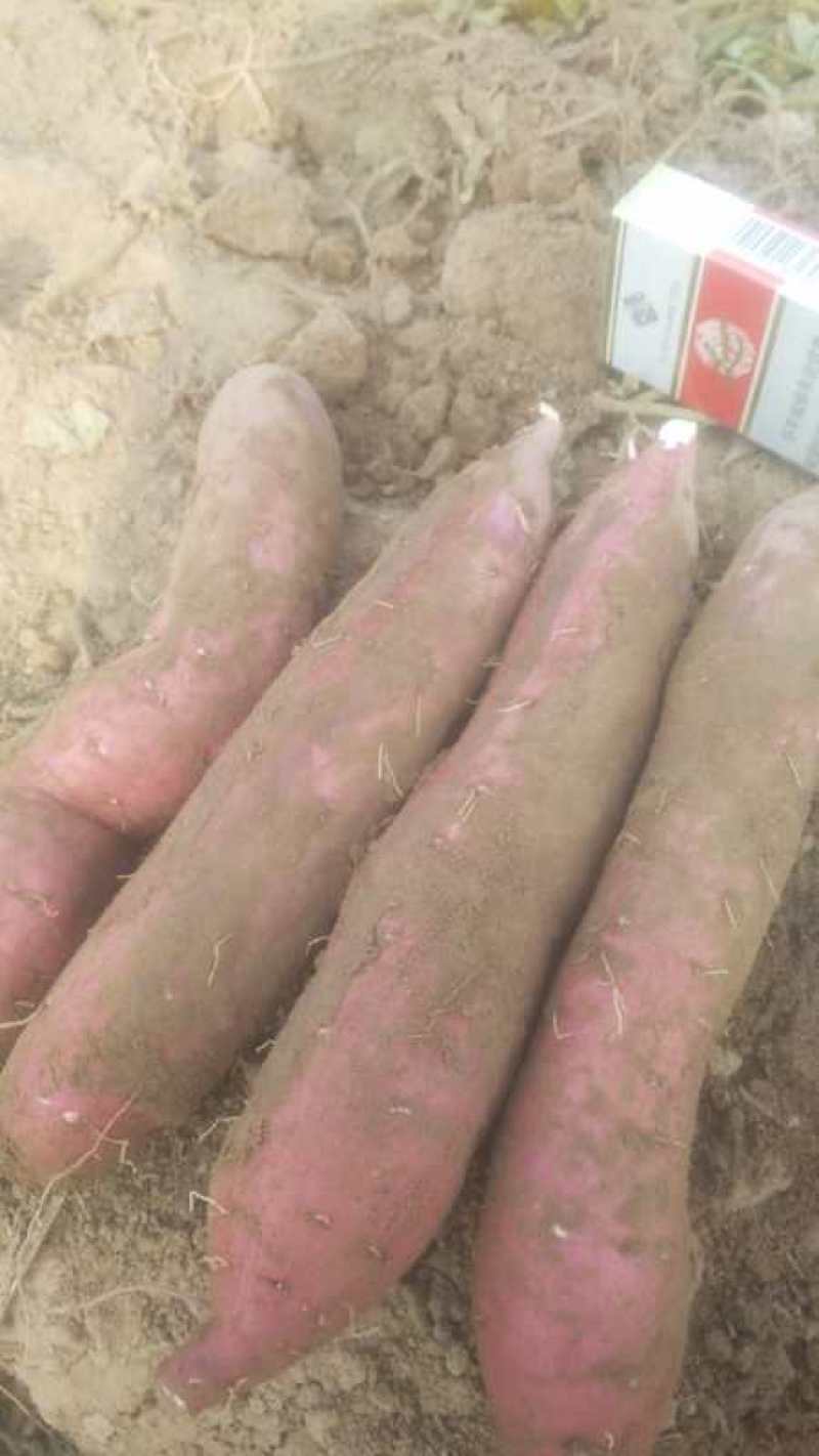 大量上市欢迎前来合作
