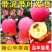 新品特大早熟奶油富士王冰糖心苹果树苗南北方种植耐寒耐旱