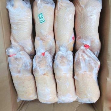 1700/1800克一级全净膛沂南樱桃谷瘦肉行白条鸭
