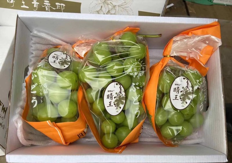 云南省红河州蒙自市岀售阳光玫瑰葡萄，4斤一盒，98元/盒