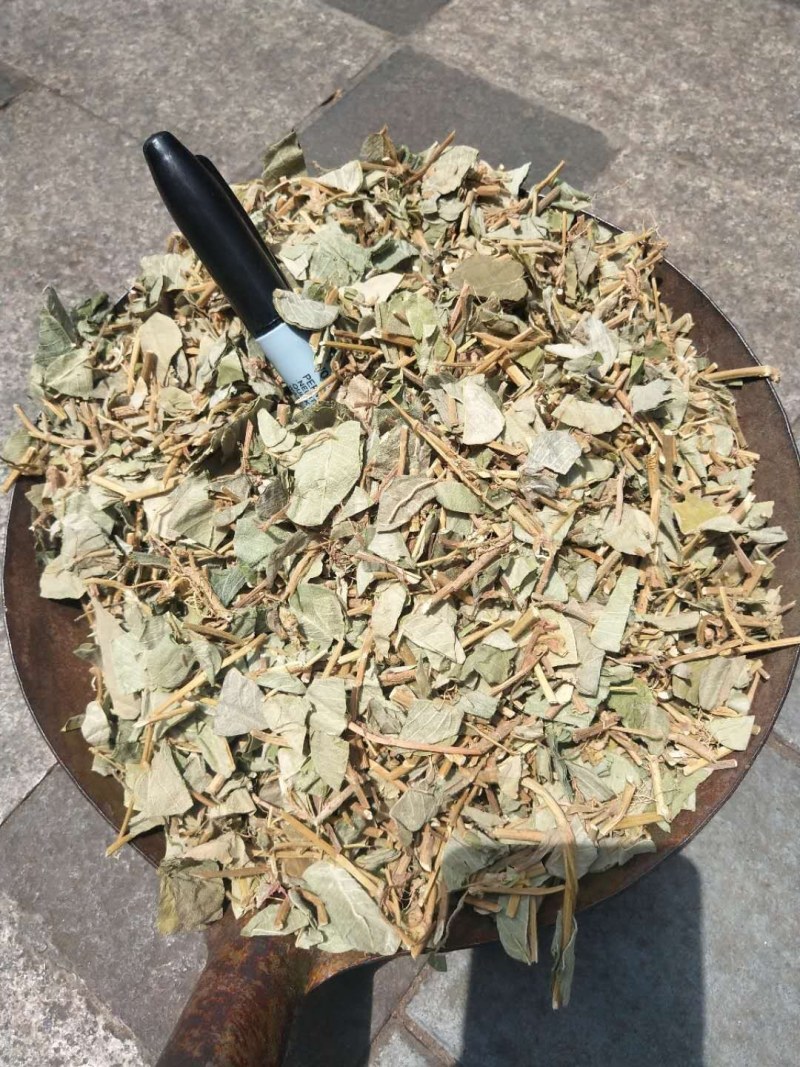 金钱草，新货大叶金钱草，广金钱草，金钱草，各种规格金钱草