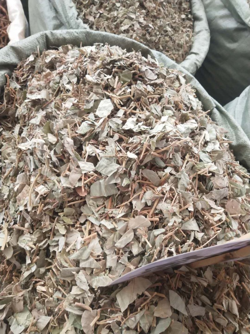 金钱草，新货大叶金钱草，广金钱草，金钱草，各种规格金钱草