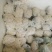 河南有机散花陆续上市了呀，有需要合作了呀