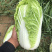 黄玲珑娃娃菜超级精品货源充足