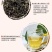 冰岛茶普洱生茶龙珠一次一个方便携带古树茶口感很好