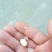 花生河南信阳花生大别山精品花生今年新货花生