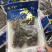 即食海参优质辽参即食淡干长刺海参口感胶质好味鲜美一手货源