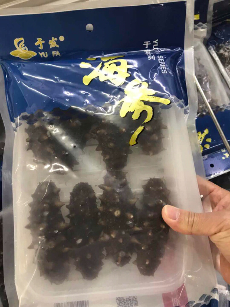 即食海参优质辽参即食淡干长刺海参口感胶质好味鲜美一手货源