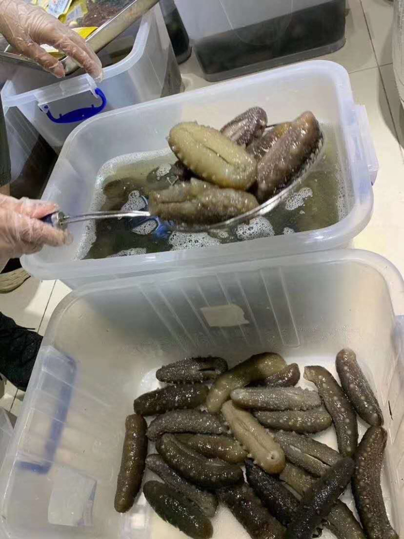 即食海参优质辽参即食淡干长刺海参口感胶质好味鲜美一手货源