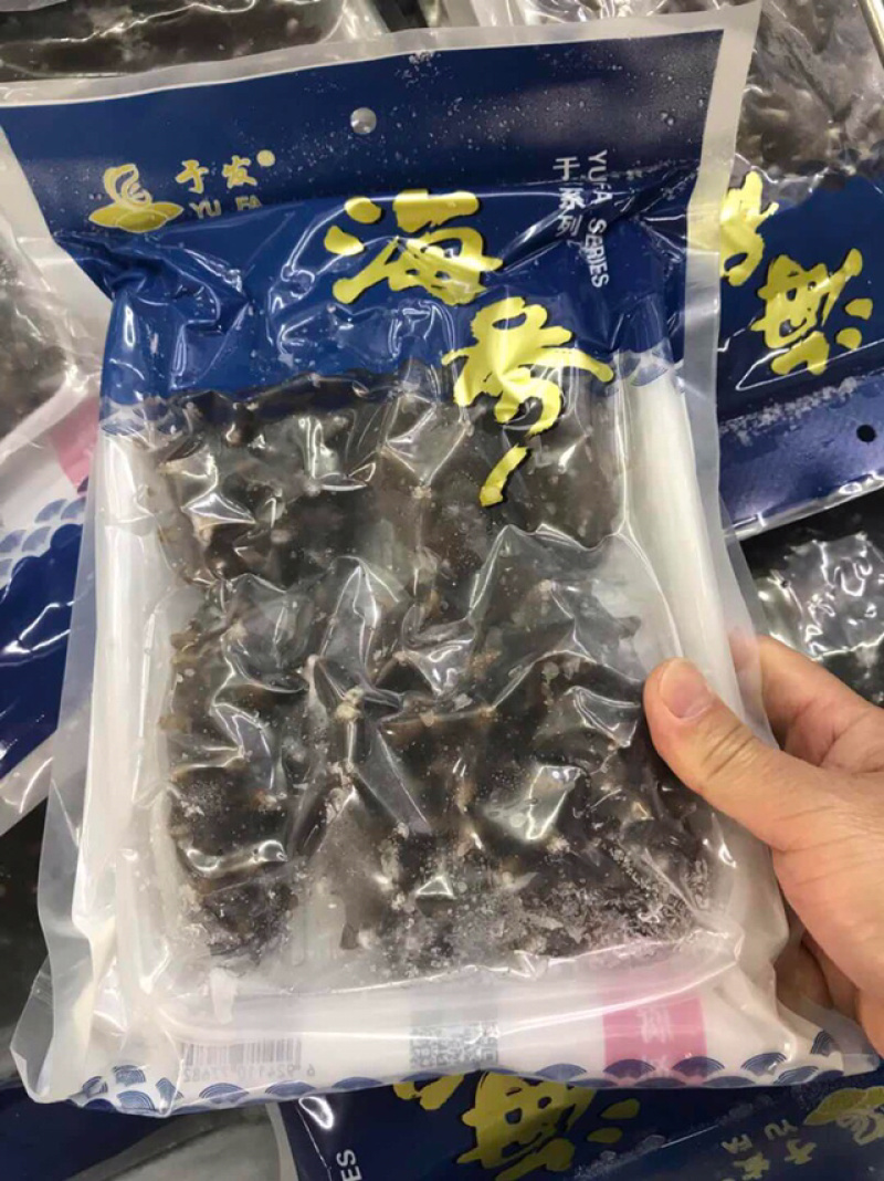 即食海参优质辽参即食淡干长刺海参口感胶质好味鲜美一手货源