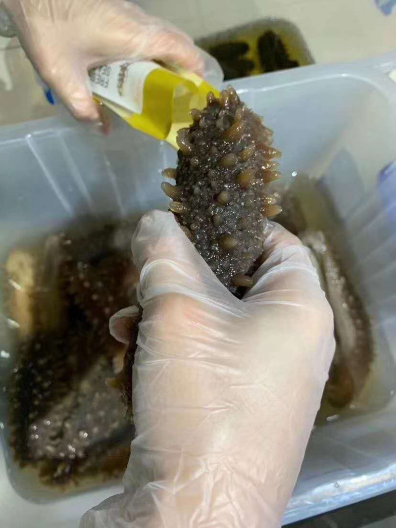 即食海参优质辽参即食淡干长刺海参口感胶质好味鲜美一手货源