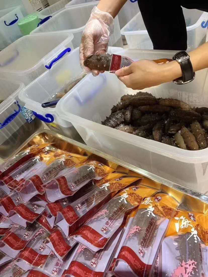 即食海参优质辽参即食淡干长刺海参口感胶质好味鲜美一手货源