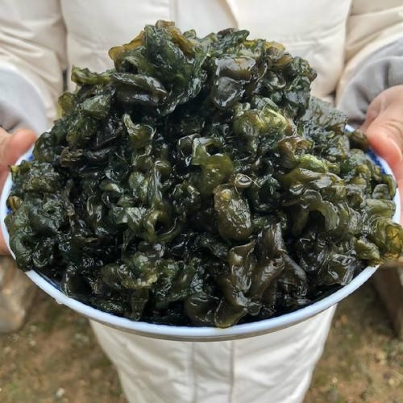 湖北大山深处野生过筛精选大片干地皮菜地衣