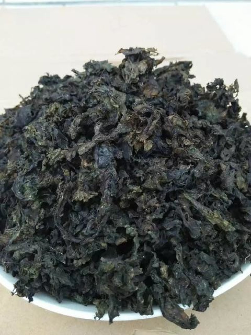 湖北大山深处野生过筛精选大片干地皮菜地衣