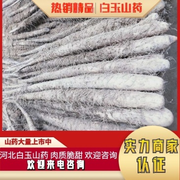 河北白玉山药，新鲜现挖发货，农家直销，口感面甜，欢迎电联