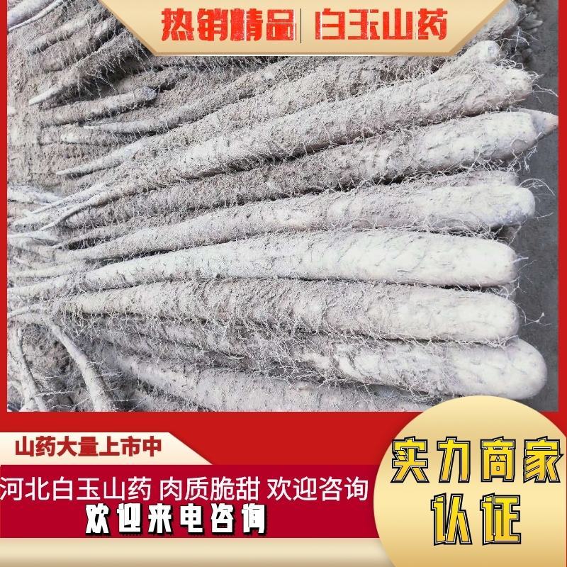河北白玉山药，新鲜现挖发货，农家直销，口感面甜，欢迎电联
