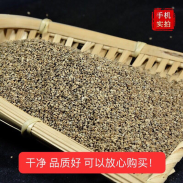 地肤子无硫新货地肤子干净无杂质