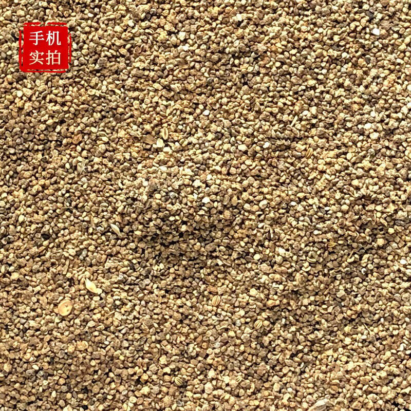 地肤子无硫新货地肤子干净无杂质